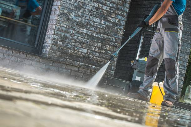 Best Gutter Cleaning and Brightening in Island Park, NY